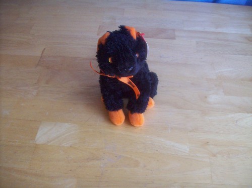 2000 fraidy cat ty beanie baby