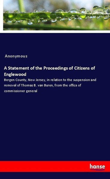 A Statement Of The Proceedings Of Citizens Of Englewood Anonymous-image