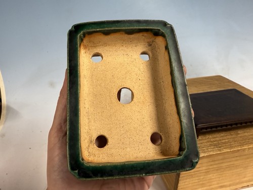 Maceta de árbol bonsái Shohin Tokoname esmaltada verde hecha Koyo 5 5/8” motivo elevado rara - Imagen 10 de 17
