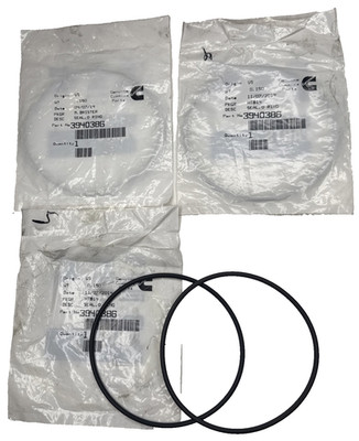 (Lot of 4) Cummins 3940386 O Ring Seal Water Pump  ISC/ISL engine Made In USA