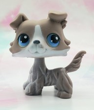 Littlest Pet Shop Authentic  67 Brown White Collie Blue Eyes