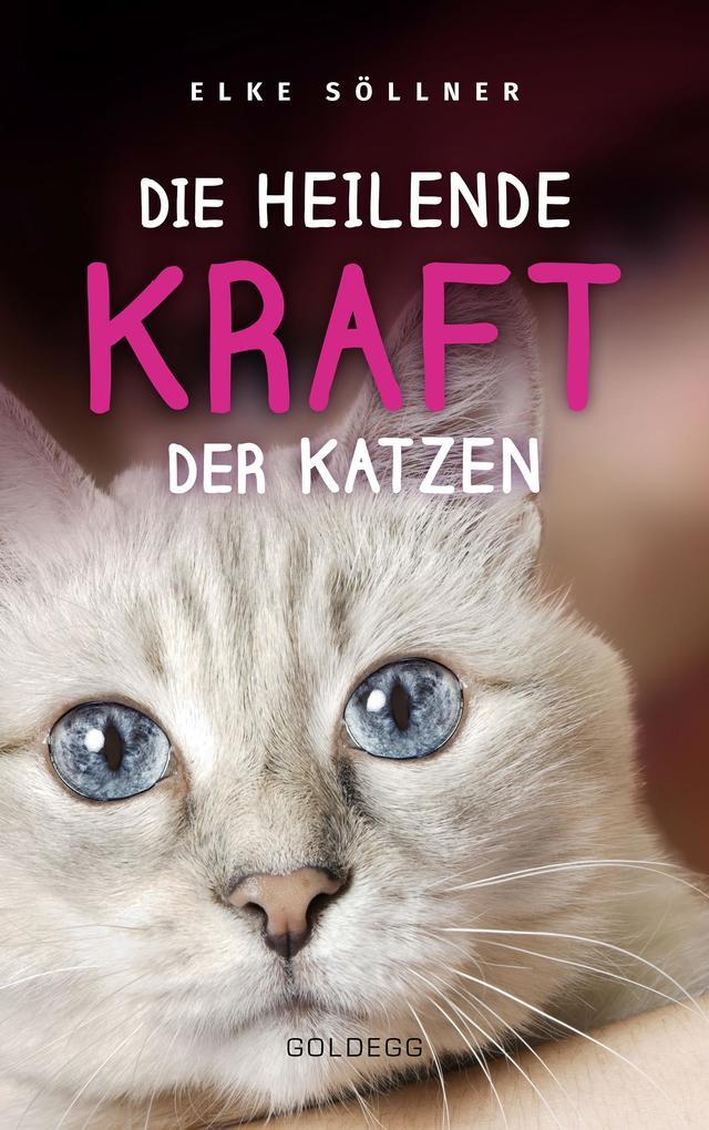 Thumbnail - Die Heilende Kraft Der Katzen: Die Hauskatze Als Spiegel Zur Eigenen