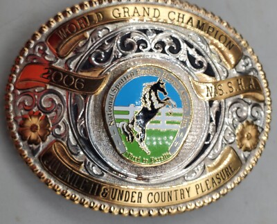 Vintage 2006 Gist World Champion Belt Buckle Solid Bronze T1