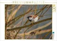 Calvendo Puzzle Cheeky Sparrow | 1000 Pieces, Finished Size 25.2 × 18.9 In (64 ×