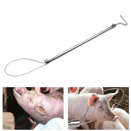 Zerodis Animal Control Pole Stainless Steel Long Handle with Hook Catcher – Long
