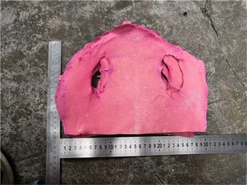 1X Stingray Fish hide Skin Polished Fish Leather Hide Pelt DIY Material Scrap - Image 4 of 4