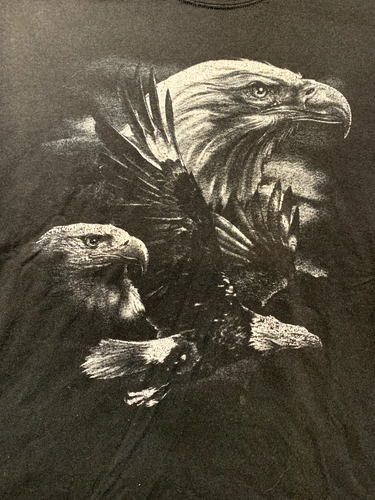 Weißkopfseeadler schwarz und weiß Grafik T-Shirt Herren Large Gildan Rundhalsausschnitt Tee - Bild 1 von 6