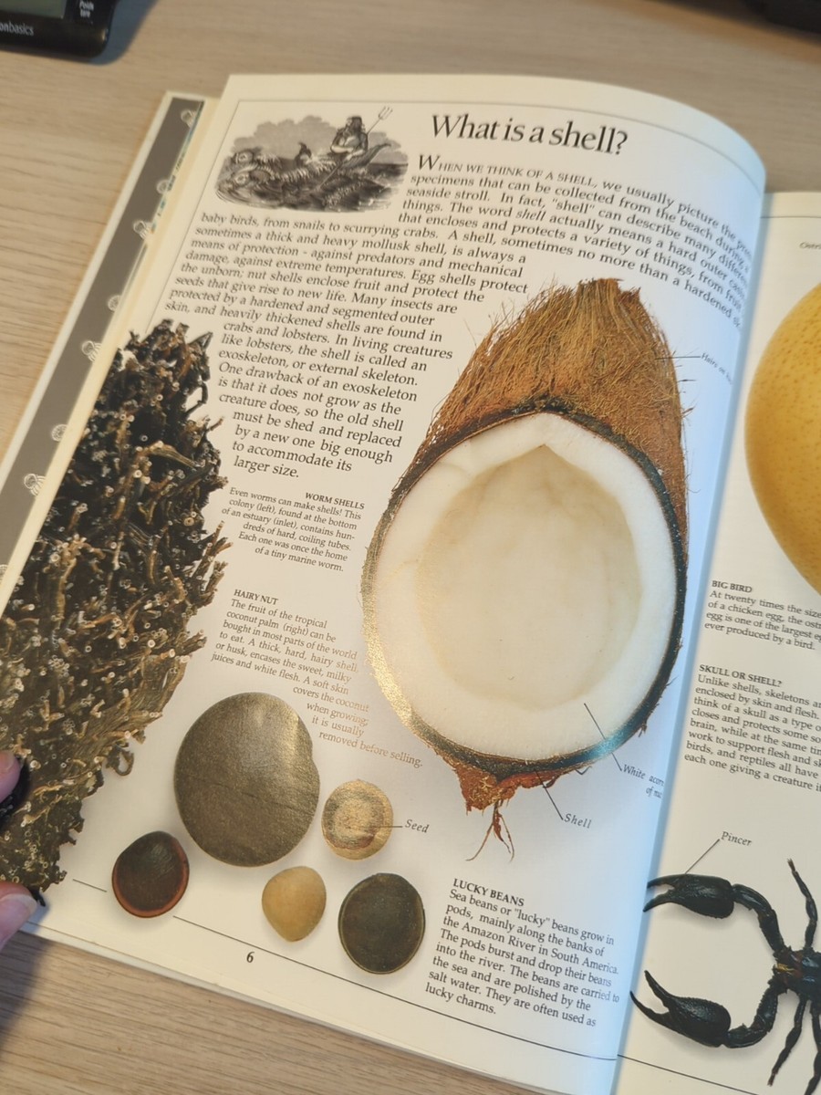 Shell Collecting —An Illustrated History Shell Collecting: An Illustrated History: S. Peter Dance