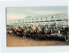 Postcard Aqueduct The Big A Long Island Queens New York USA