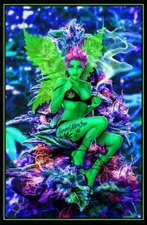 Weed Fairy Non-Flocked Blacklight Poster 24x36 inches
