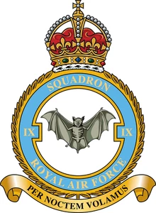 No. 9 IX Squadron RAF badge patch Self Adhesive Vinyl Sticker