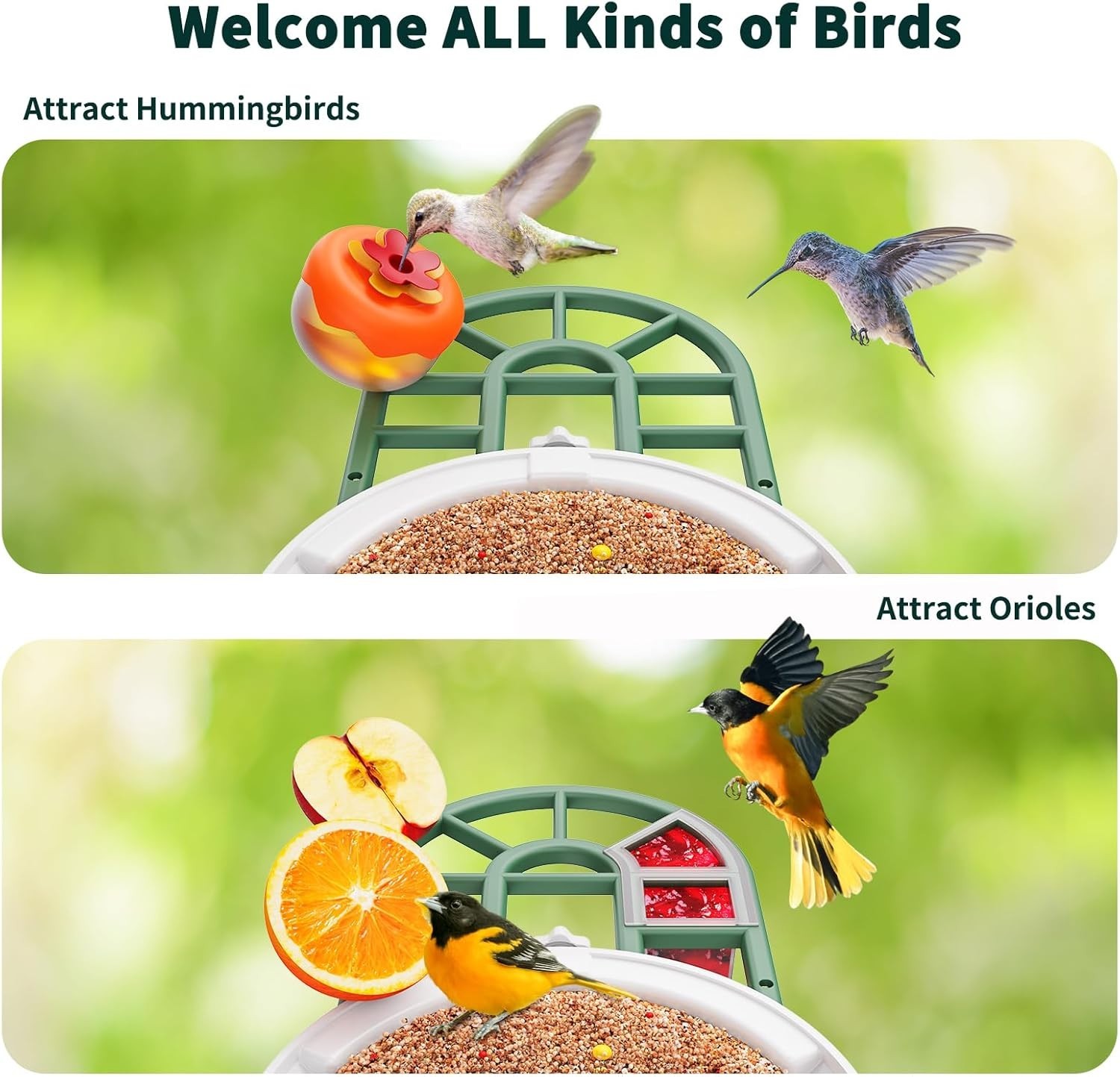 Advanced AI Bird Feeder Camera with Instant Notifications