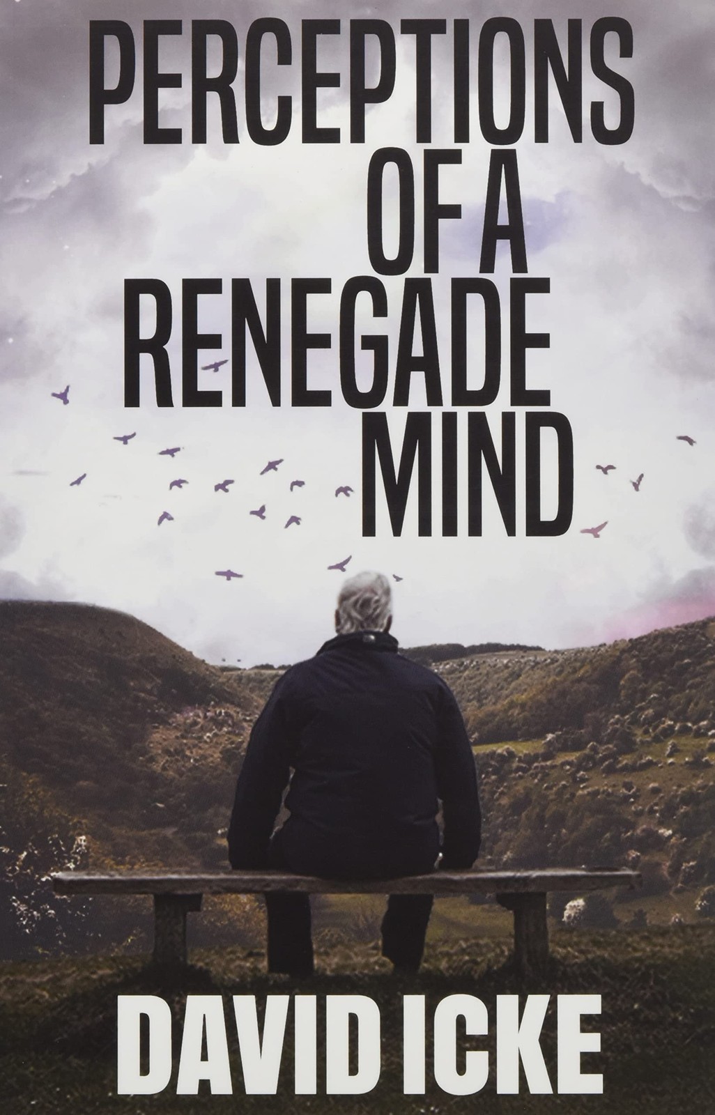 Perceptions Of A Renegade Mind David Icke - Image 3