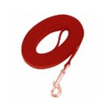 Guardian TP335 50 83 Cotton Web Training Lead 50 Ft Red