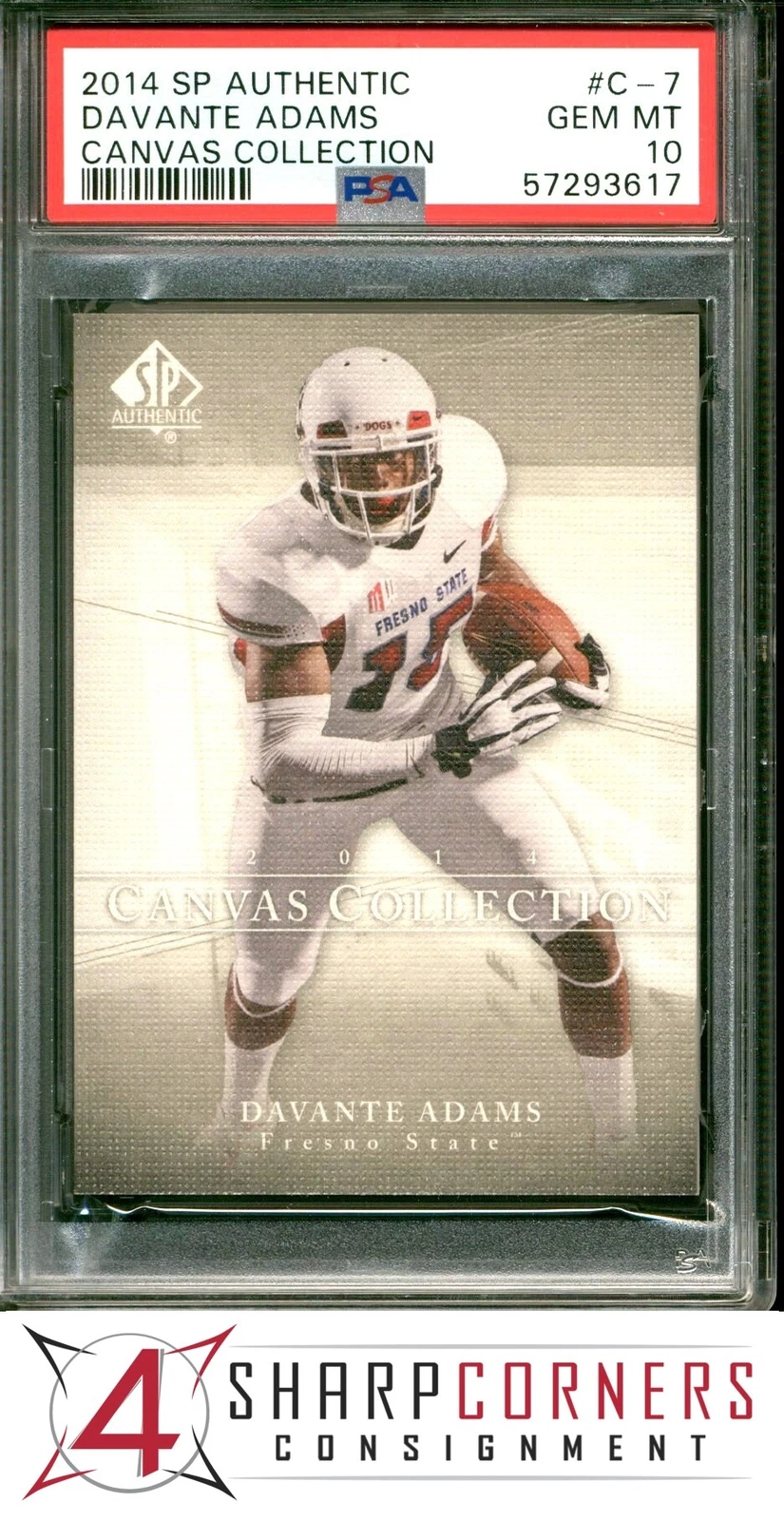 Davante Adams SP Authentic Canvas Collection #C7 Base