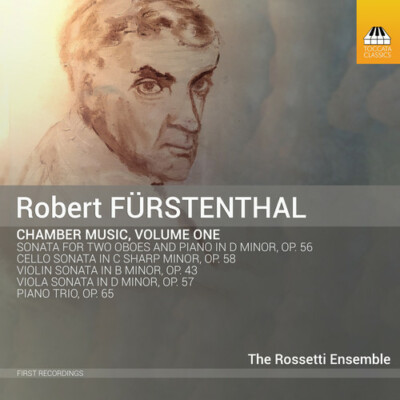 Chamber Music 1 by Furstenthal / Rossetti Ensemble (CD, 2019)