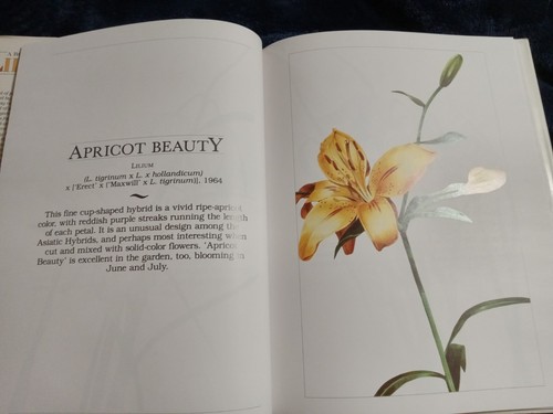 Vintage 1988,A Book Of Lilies By Mark Smith - Bild 8 von 12