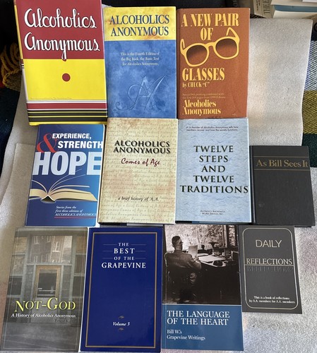 Lot of 11 Alcoholics Anonymous “BIG BOOK” & related AA Books Recovery ...