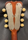 Picture 16 of 23
