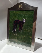 Asprey & Co. Large English Sterling Silver Sunflower Frame 5x7 Retails $1200+