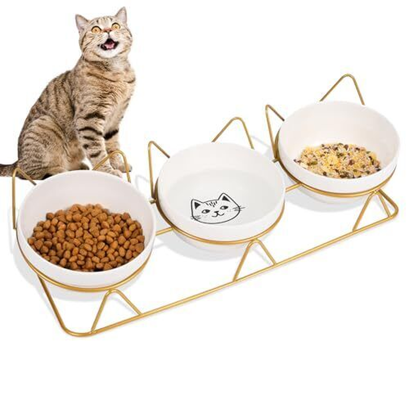 Elevated Cat Bowls with 3 Ceramic Bowls,5 Inches Food & Water Bowls 15