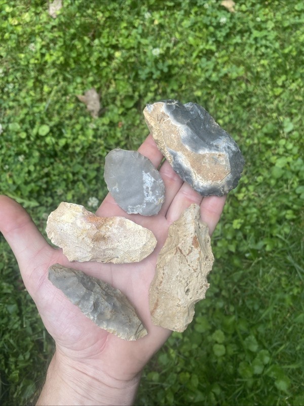 MLC 53 (5) Archaic To Adena Knife Blades - Arrowheads Ky - Tn Stone Artifacts