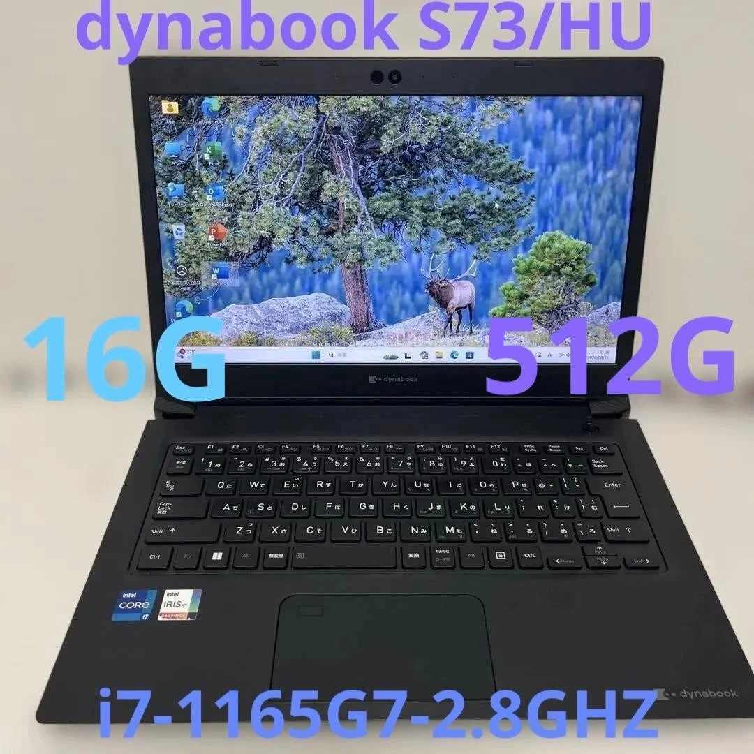 Toshiba 16 GB RAM PC Laptops & Netbooks 512 GB SSD Capacity for