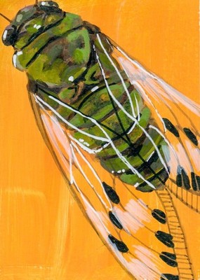 ACEO/ATC Limited PRINT - Cicada - Gouache - By Lauren Midna 2.5 x 3.5 laloxo