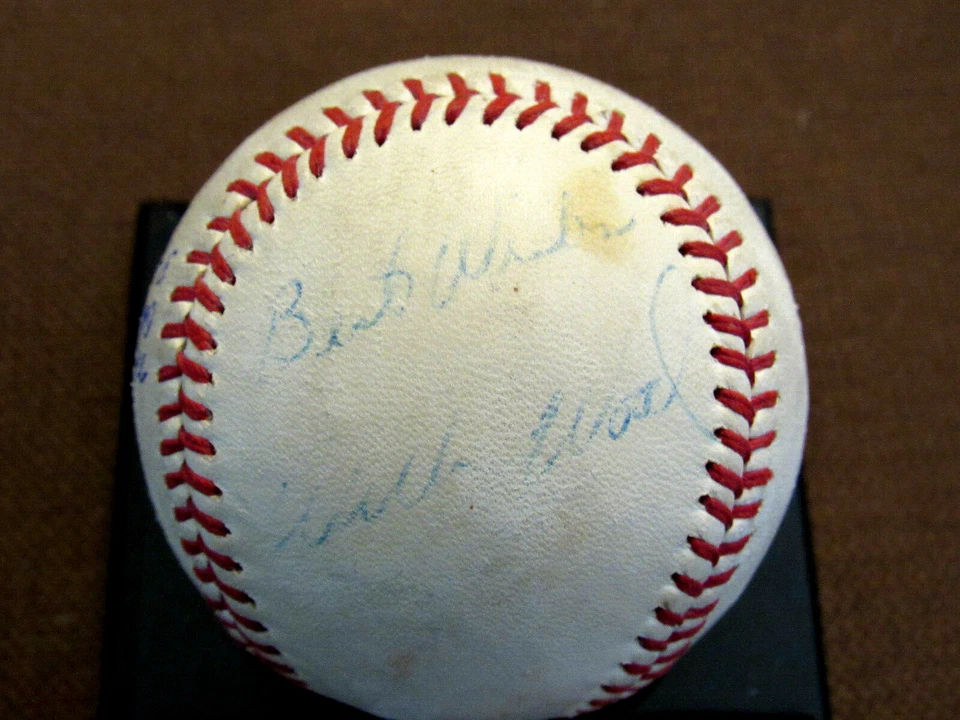 WILBUR WOOD MICKEY LOLICH 1968 WS MVP WSC 3-0 FIRMADO AUTO CRONIN BÉISBOL JSA Foto 2 de 4