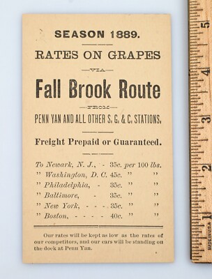 Seltene 1889 Trauben Preiskarte Syrakus Genf & Corning Eisenbahn Fall Brook Route NY