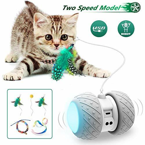 petronics mousr interactive robotic cat toy