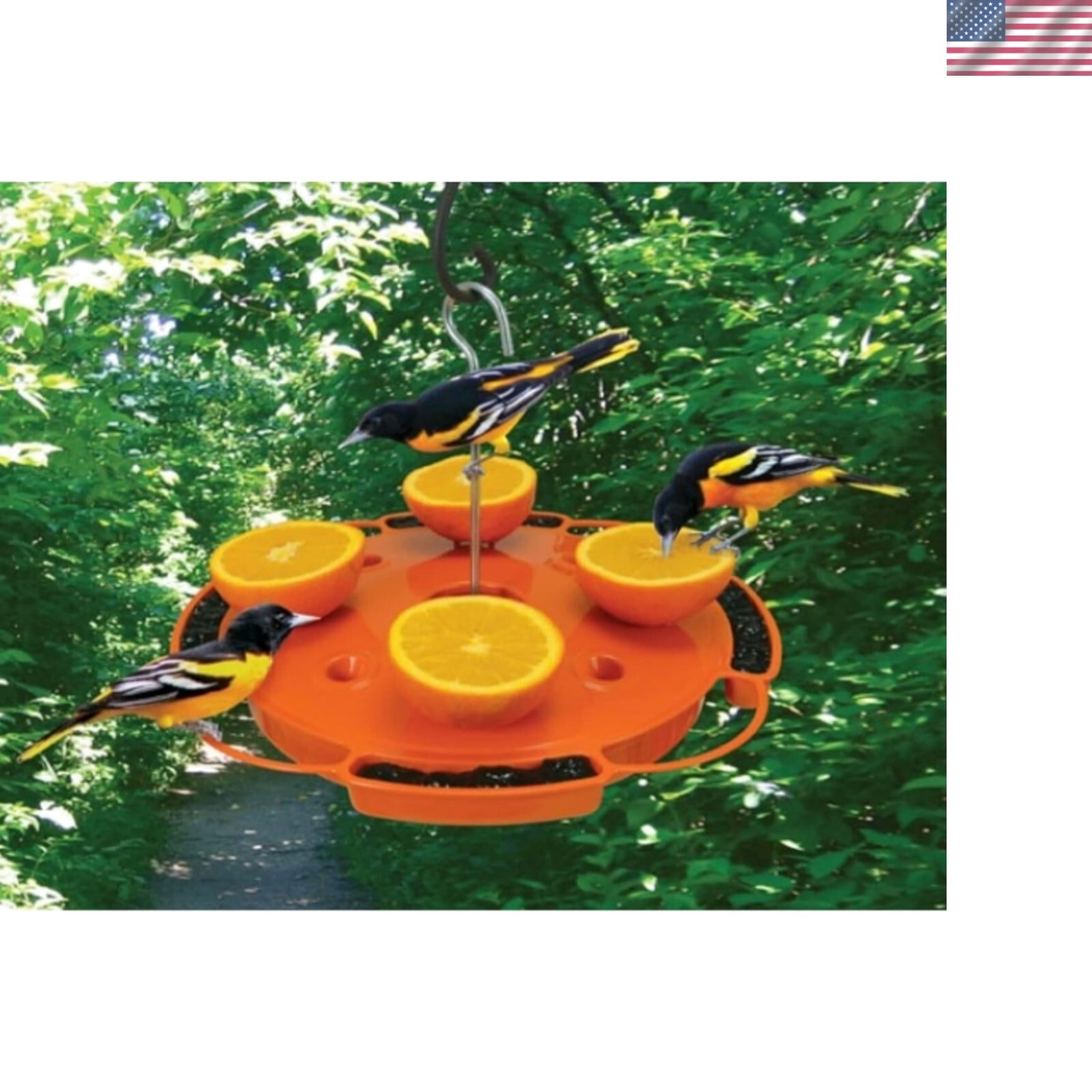 With Jelly & Orange Holder - 1 Quart Capacity