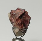 Bild 8 von 11
