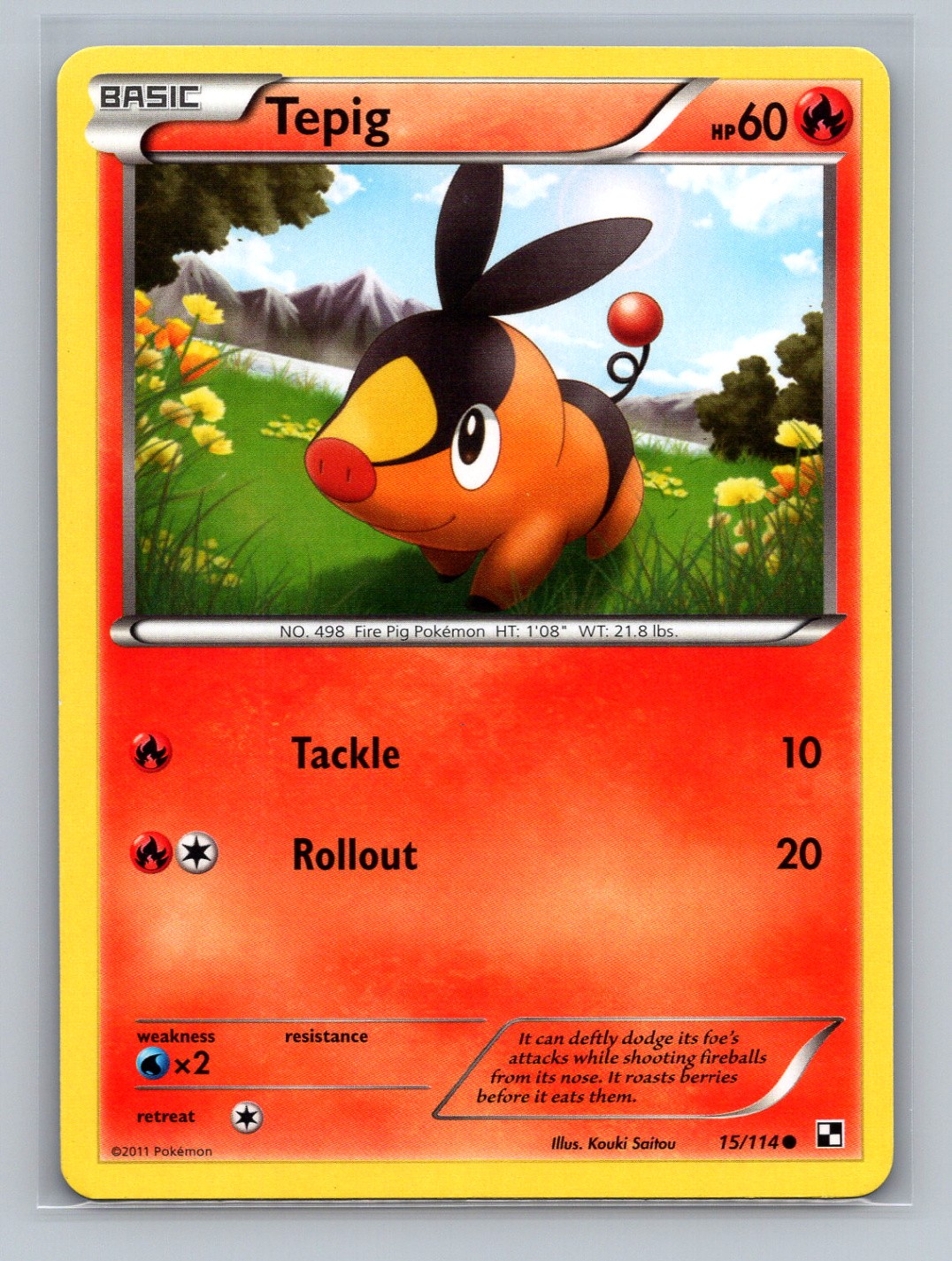 Pokémon TCG Tepig (15) 15/114 Black and White Normal LP