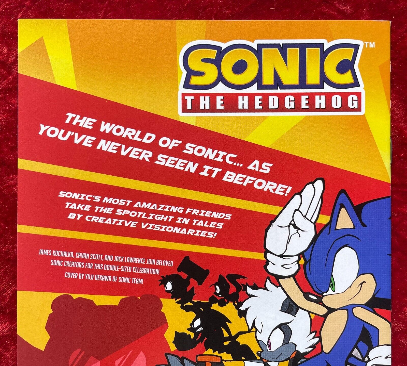 JUN231445 - SONIC THE HEDGEHOG #64 CVR A LAWRENCE - Previews World