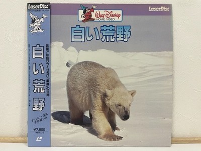 White Wilderness 1958 Walt Disney Laserdisc LD Japan zweisprachige...