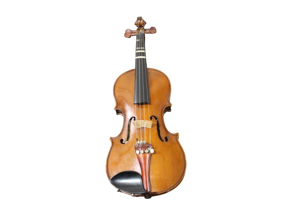 STENTOR ヴァイオリン　1/4 Stentor Harlequin violin 1/4