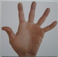 RENE WIRTHS - Carton d