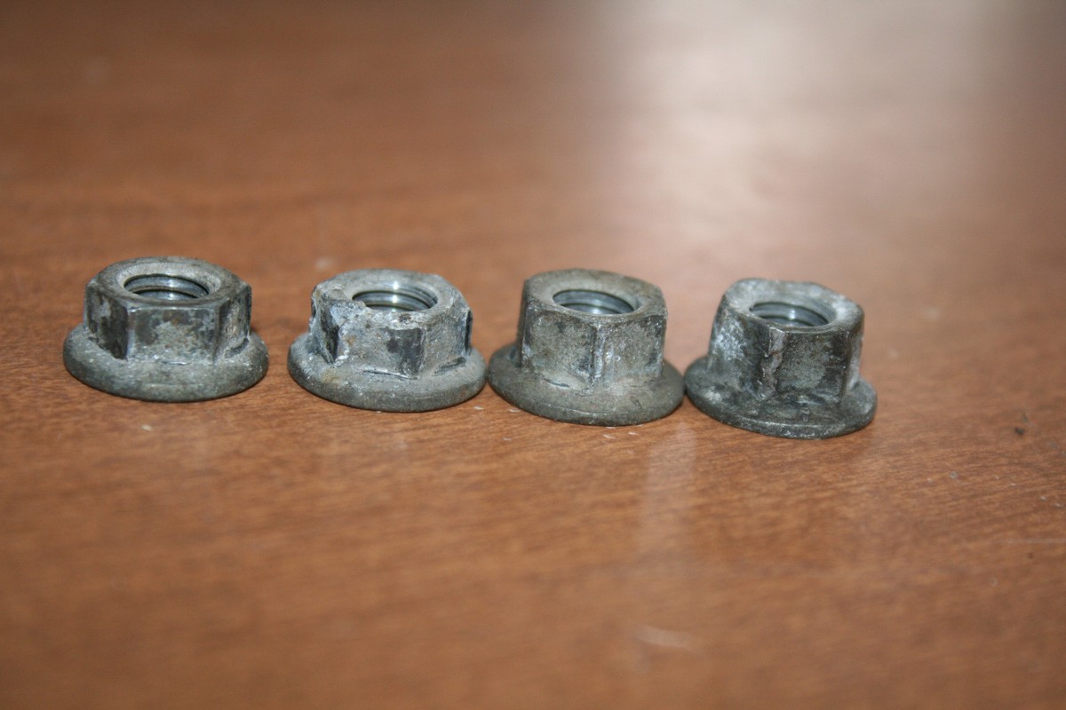 とし　球根 Amazon.com: Timken HM807044 Axle Bearing : Automotive