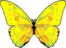 5.25in x 3.75in Butterfly Vinyl Sticker
