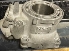 NOS Yamaha TZ125 Cylinder 4JT-30 . . . vintage tz . 2000 and up . 125/250