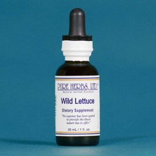 Pure Herbs: Wild Lettuce - 1 oz.