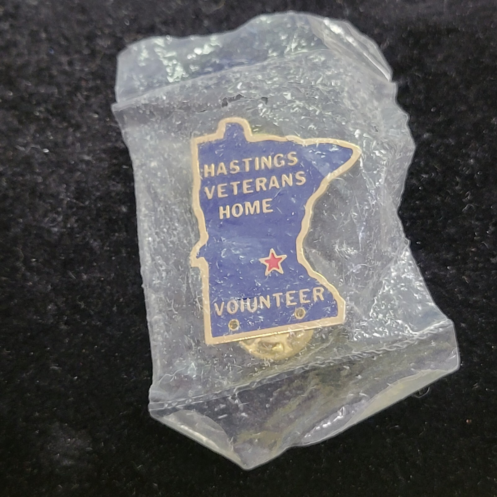 Hastings Veterans Home Volunteer Service Lapel pin Souvenir Badge Event