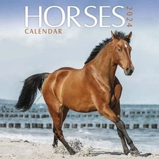 Horses 2024 Calendar, Paperback by Avonside Publishing Ltd (COR), Brand New, ...
