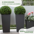 Afbeelding 5 van 14