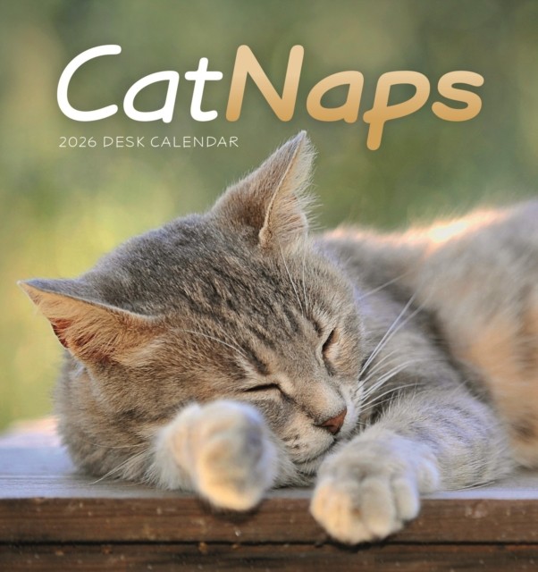 Cat Naps Easel Desk Calendar 2026 CALENDAR 9781529848670