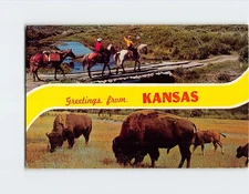 Postcard Greetings Kansas Cowboy Horseback Riders Bison Wildlife Vintage USA