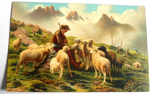 Rosa Bonheur - Pyrenean Shepherd Offering Salt to His Sheep Vintage Postcard