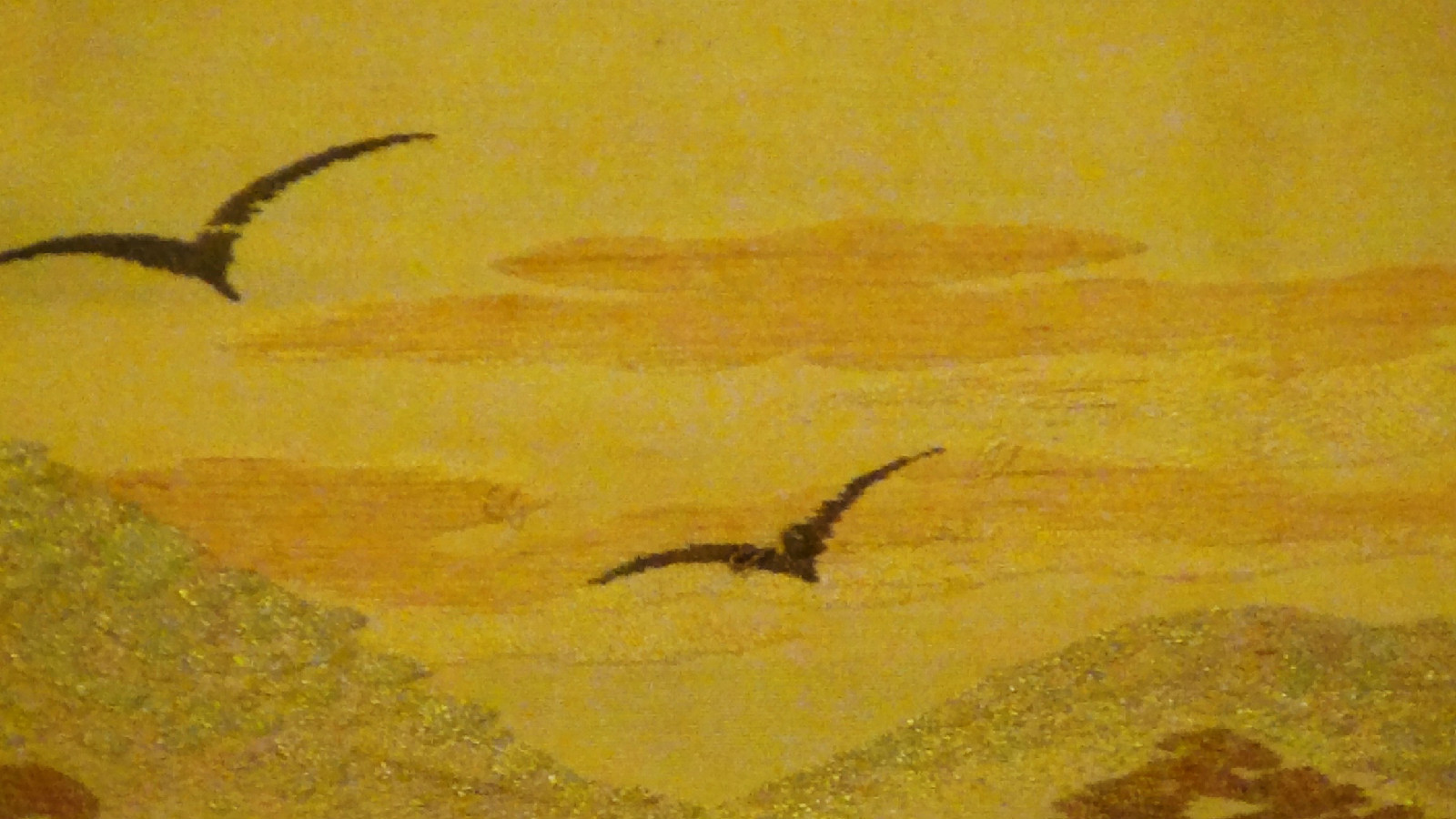 Picture 8 of 11