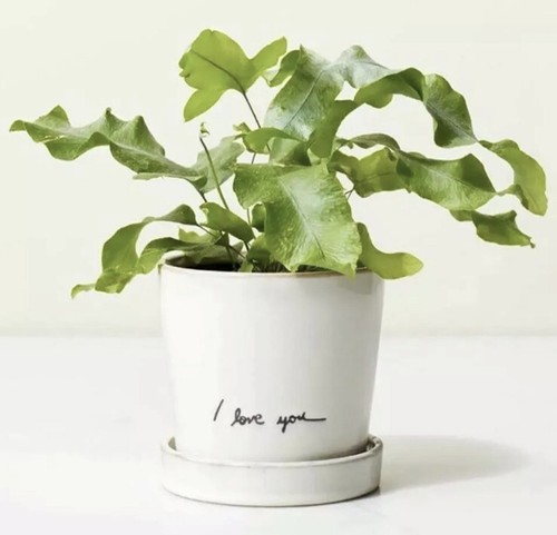 Hearth & Hand Magnolia Stoneware Flower Pot I Love You Planter SOLD OUT - Picture 7 of 8